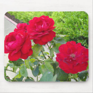 Mousepad Rosas vermelhas