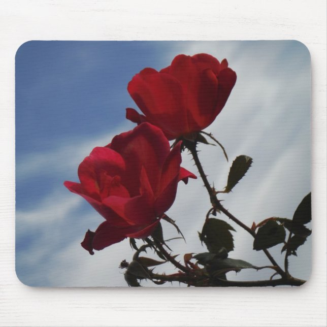 Mousepad Rosas vermelhas contra o céu azul brilhante (Frente)