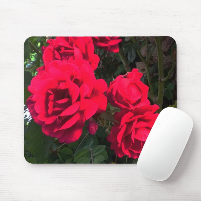 Mousepad Rosas vermelhas magníficas (Com mouse)