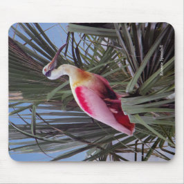 Mousepad Roseate Spoonbill