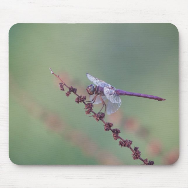 Mousepad Róseato espumante (Frente)