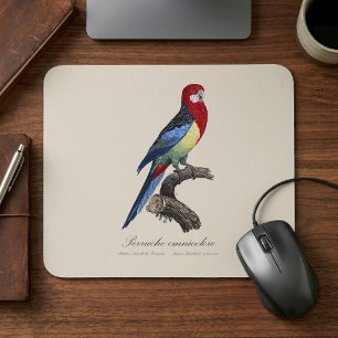 Mousepad Rosela-oriental ou periquito Platycercus eximius