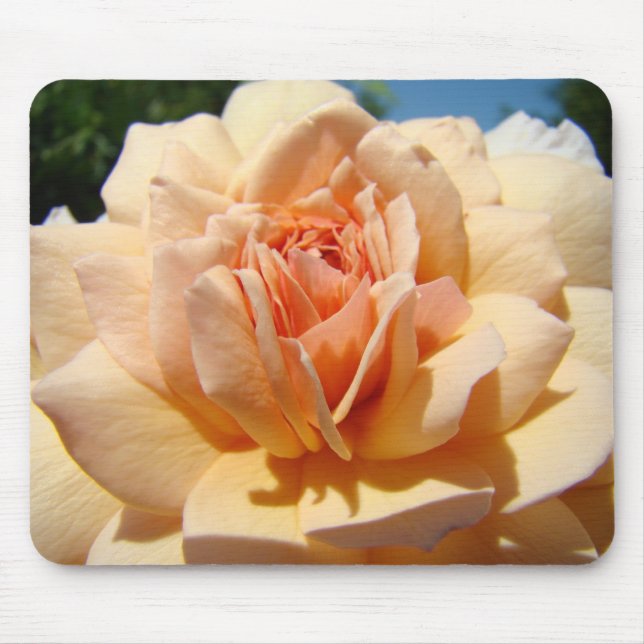 MOUSEPAD ROSES, FLORES DE ROSAS SUPORTES PARA MOUSE MOUSEPA (Frente)