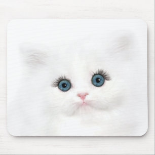 Mousepad Rosto branco persa de gatinho