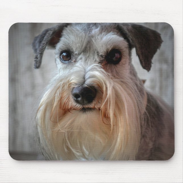 Mousepad Rosto de Cachorro Schnauzer (Frente)