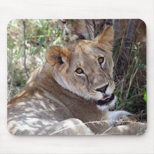 Mousepad rosto de leão (Frente)