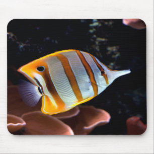 Mousepad Rostrato de geleão