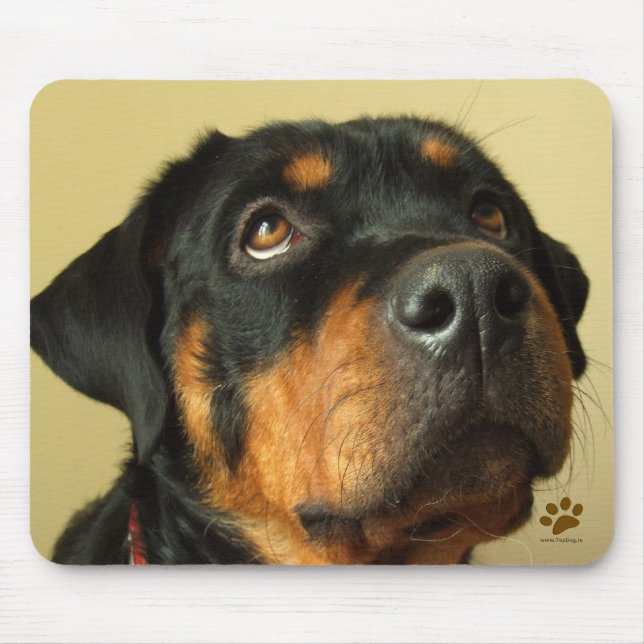 Mousepad Rottweiler (Frente)