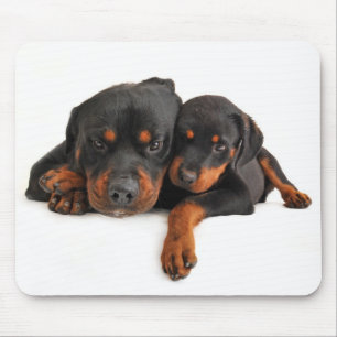 Mousepad Rottweiler Brown & Black Puppy Dog Love