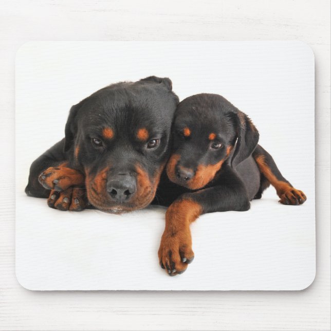 Mousepad Rottweiler Brown & Black Puppy Dog Love (Frente)