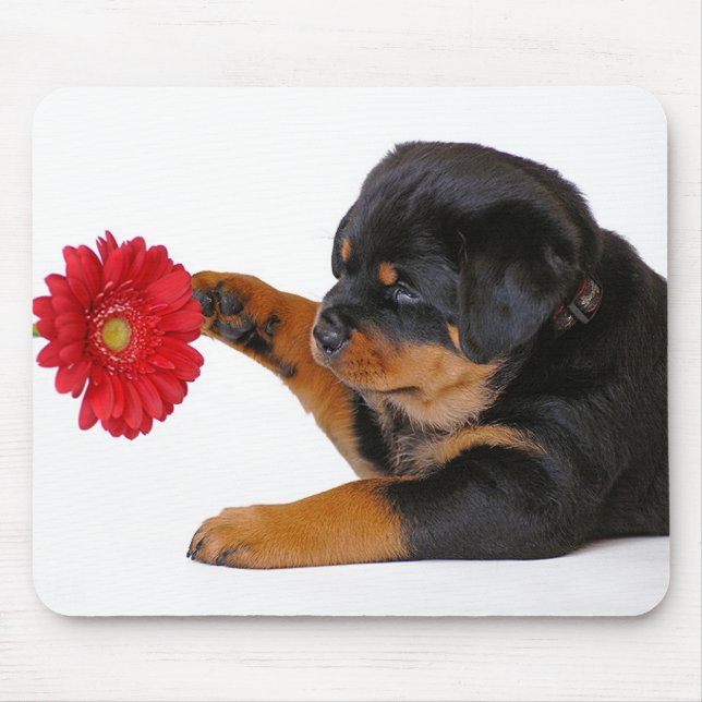 Mousepad Rottweiler - Cão-de-papoila com Gerbera Daisy Mous (Frente)