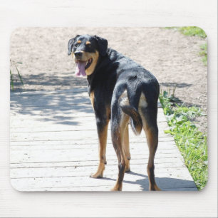Mousepad Rottweiler e cruz do german shepherd