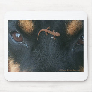 Mousepad Rottweiler e tapete do rato da salamandra