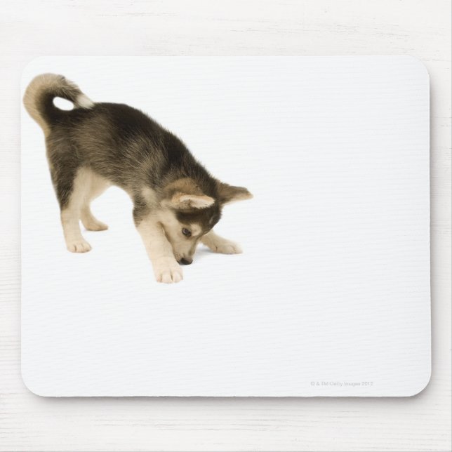 Mousepad Rouco Puppy 2 (Frente)