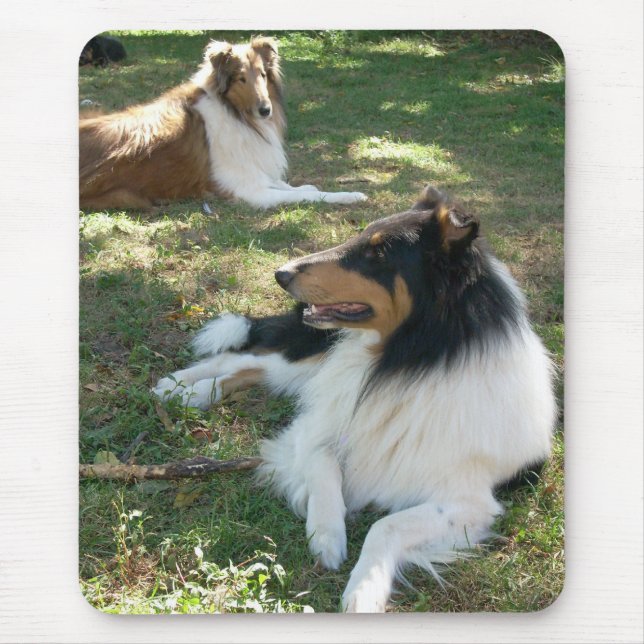Mousepad Rough Collies (Frente)