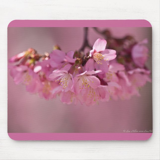 Mousepad Roupa e presentes Cherry Blossoms Hot Primavera 20 (Frente)