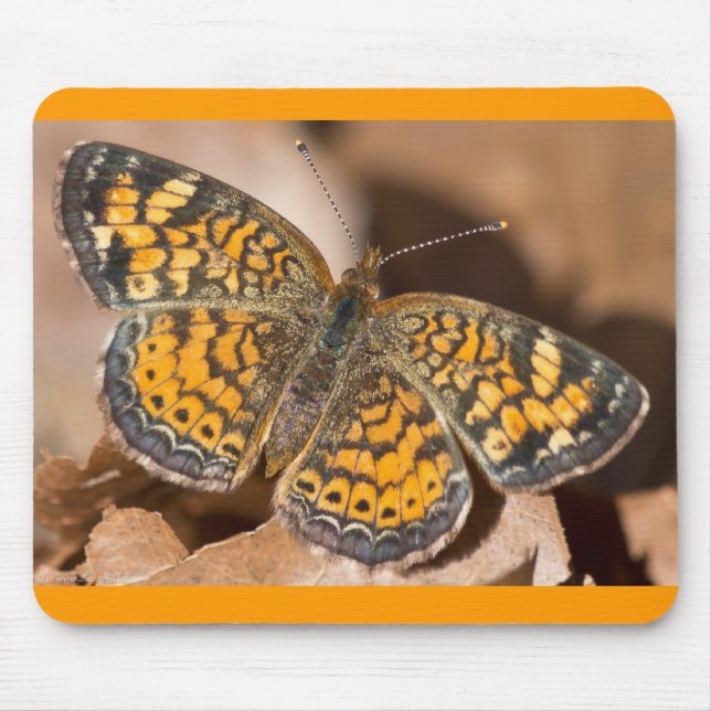 Mousepad Roupas e Presentes de Mariposa Marrom e Laranja (Frente)