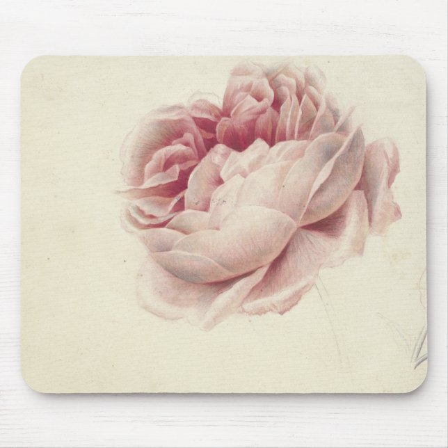 Mousepad Roze Roos (1792) - Eterno Vintage Arte Botânica (Frente)