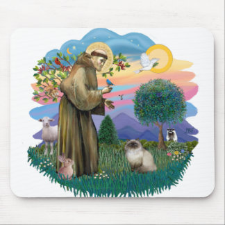 Mousepad Rua Francis (ff) - Gato Himalaio Ponto de Foco