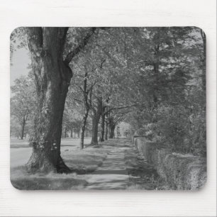 Mousepad Rua Treelined com passeio