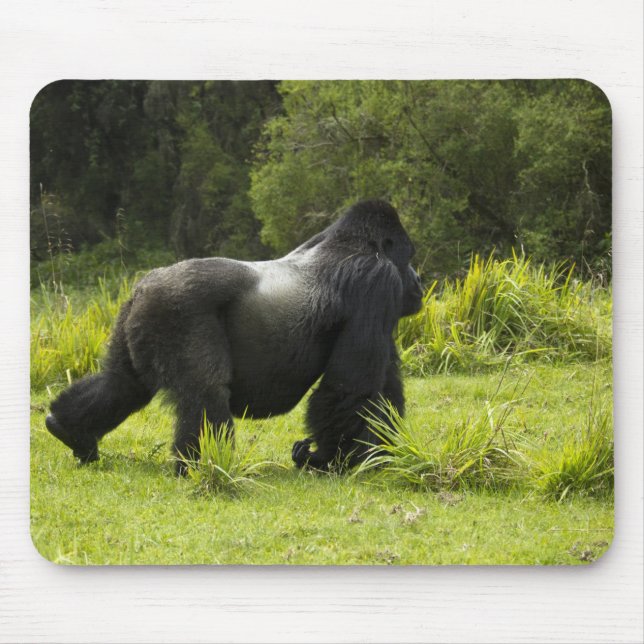 Mousepad Ruanda, Parque Nacional dos Vulcões (Frente)