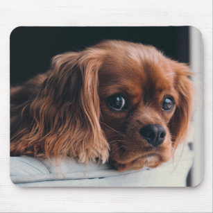 Mousepad Ruby Cavalier King Charles Spaniel Puppy Dog