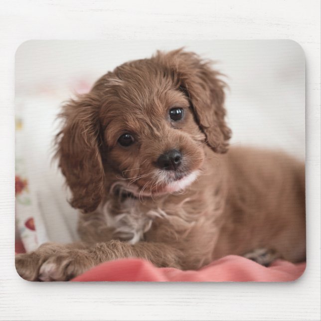Mousepad Ruby Cavapoo Puppy Dog (Frente)