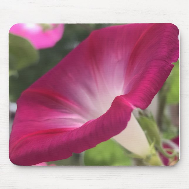 Mousepad Ruby Red Morning Glory Close-up  (Frente)