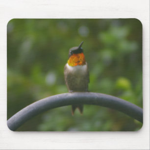 Mousepad Ruby Throat Hummingbird