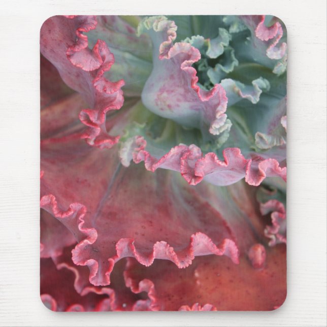 Mousepad Ruffled do echeveria (Frente)