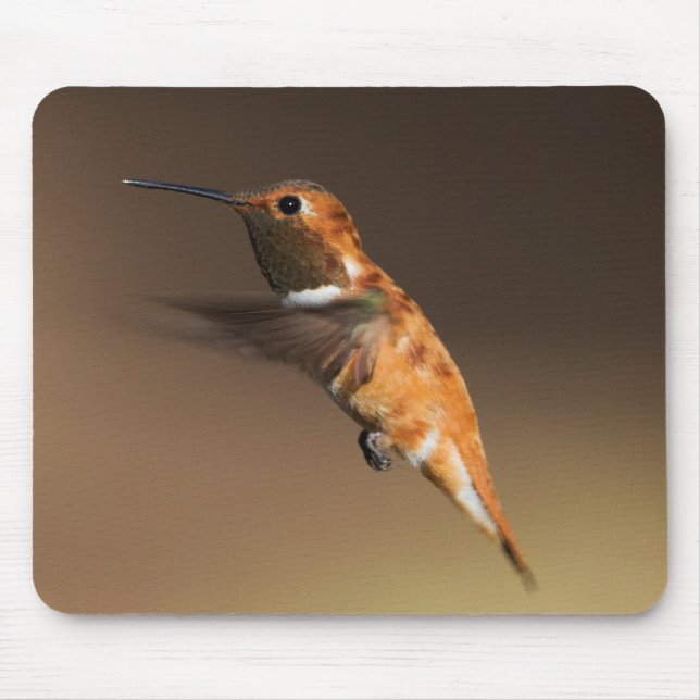 Mousepad Rufous Hummingbird em voo (Frente)
