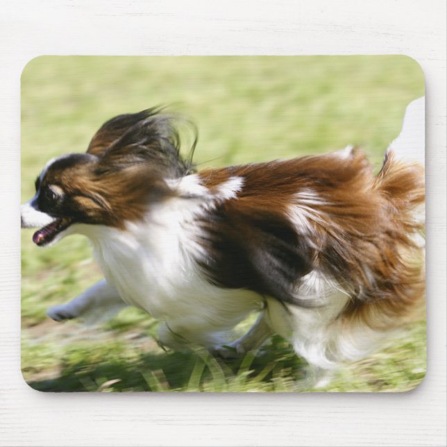 Mousepad Running Papillon (Frente)