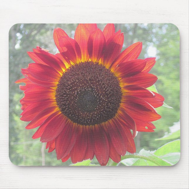 Mousepad Rusty Red Sunflower (Frente)