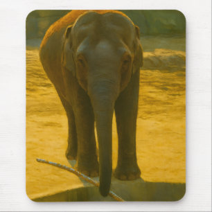 Mousepad Sabedoria do Elefante ouro - Vida Selvagem Majesto