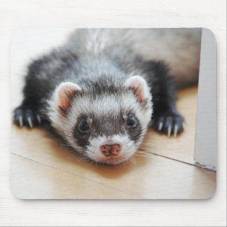Mousepad Sable Ferret