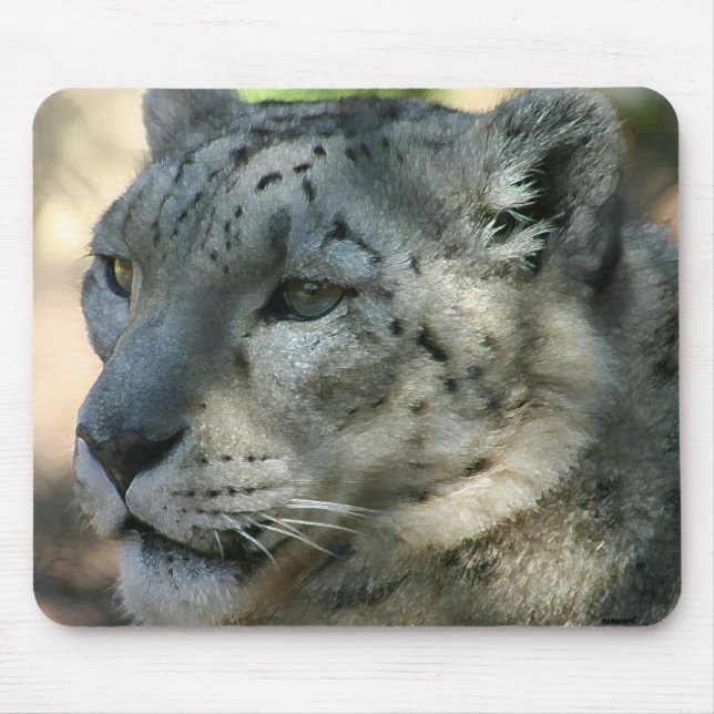 Mousepad sabopard (Frente)