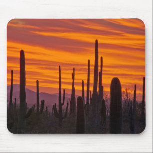 Mousepad Saguaro, pôr do sol, Parque Nacional Saguaro