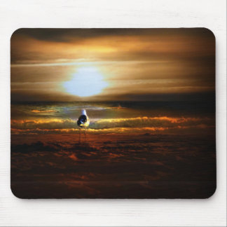 Mousepad Sagull