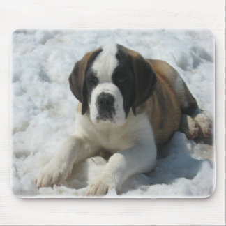 Mousepad Saint_mousepad