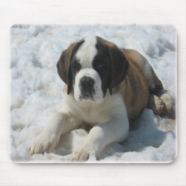 Mousepad Saint_mousepad (Frente)