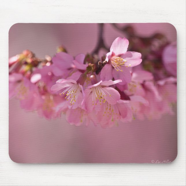 Mousepad Sakura Cherry Blossoms Delicar Buquê Rosa (Frente)