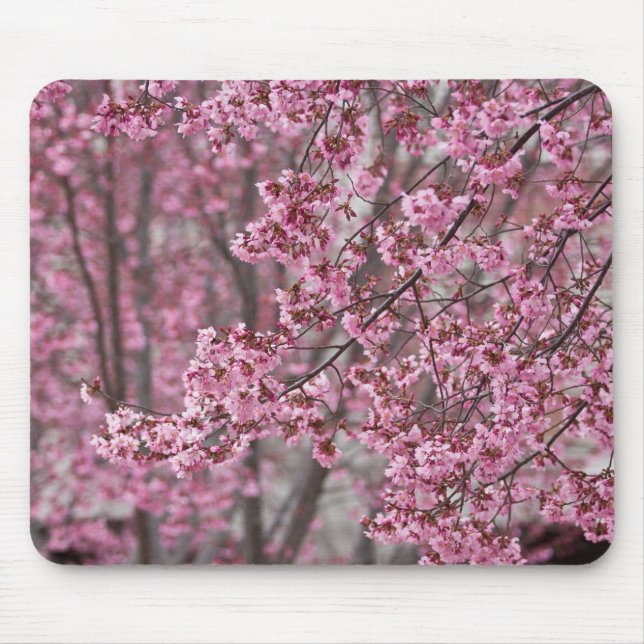 Mousepad Sakura Cherry Blossoms Fluindo Rosa (Frente)