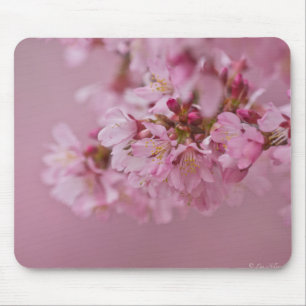 Mousepad Sakura Cherry Blossoms Rosa Pálido Reflexões