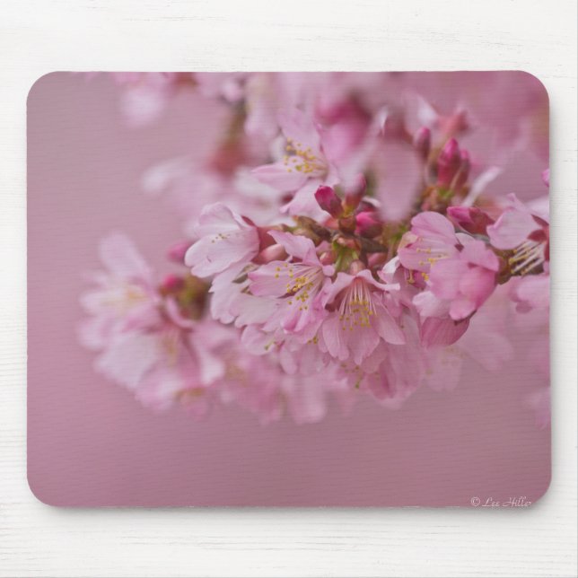 Mousepad Sakura Cherry Blossoms Rosa Pálido Reflexões (Frente)