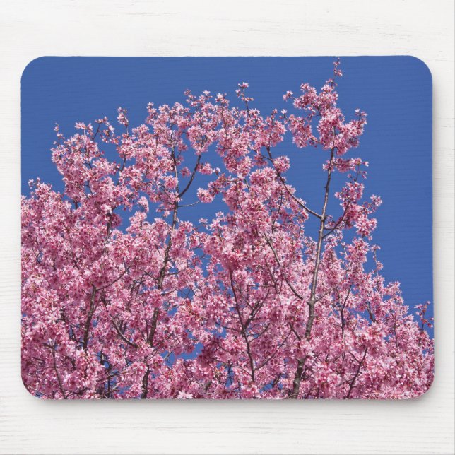 Mousepad Sakura Flores de Cerejeira no Azul (Frente)