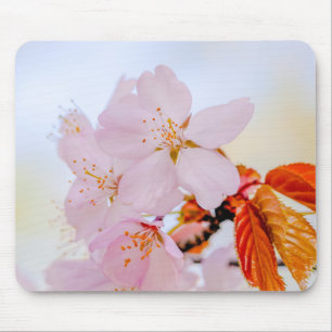 Mousepad Sakura - Japanese cherry blossom