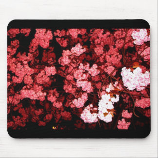 Mousepad Sakura Nightly