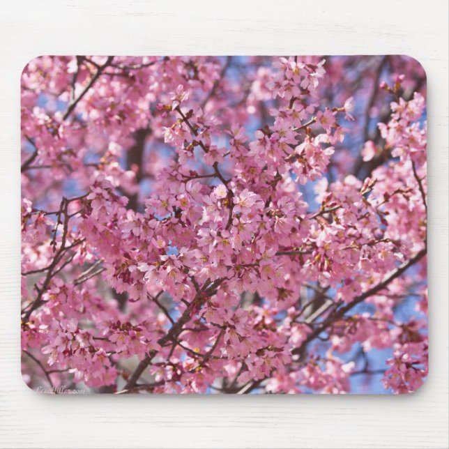 Mousepad Sakura Pink Chersom Sky (Frente)