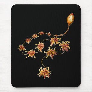 Mousepad Salacella