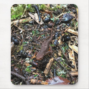 Mousepad Salamandder in the Forest, Washington